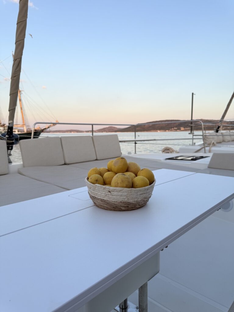 EGOcharter - Selena Bali 4.8 - Catamaran for charter in Greece