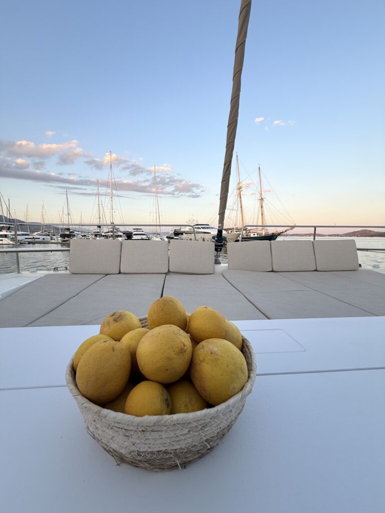 EGOcharter - Selena Bali 4.8 - Catamaran for charter in Greece